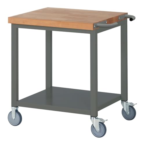 STIER Mobile Workbench Premium with storage shelf WxDxH 750x700x880 mm