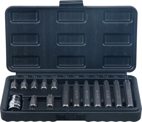 BGS Do it yourself Bit-Satz Antrieb Außensechskant 10 mm T-Profil (für Torx)