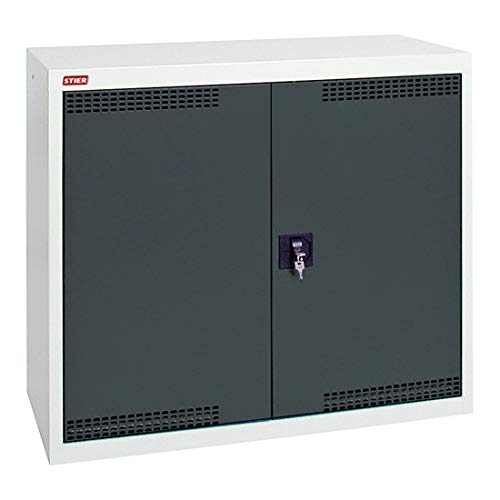 STIER Umweltschrank Premium 900x500x500 mm