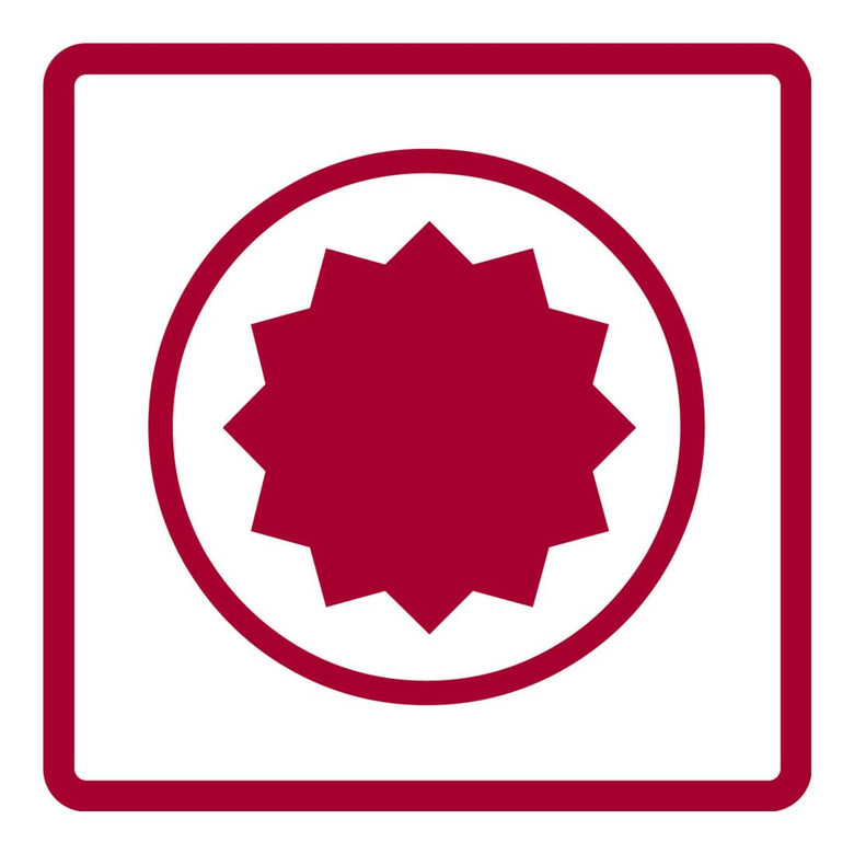 Gedore R62700519 Schraubendraubereinsatz 1/2" XZN M5 Länge 100 mm