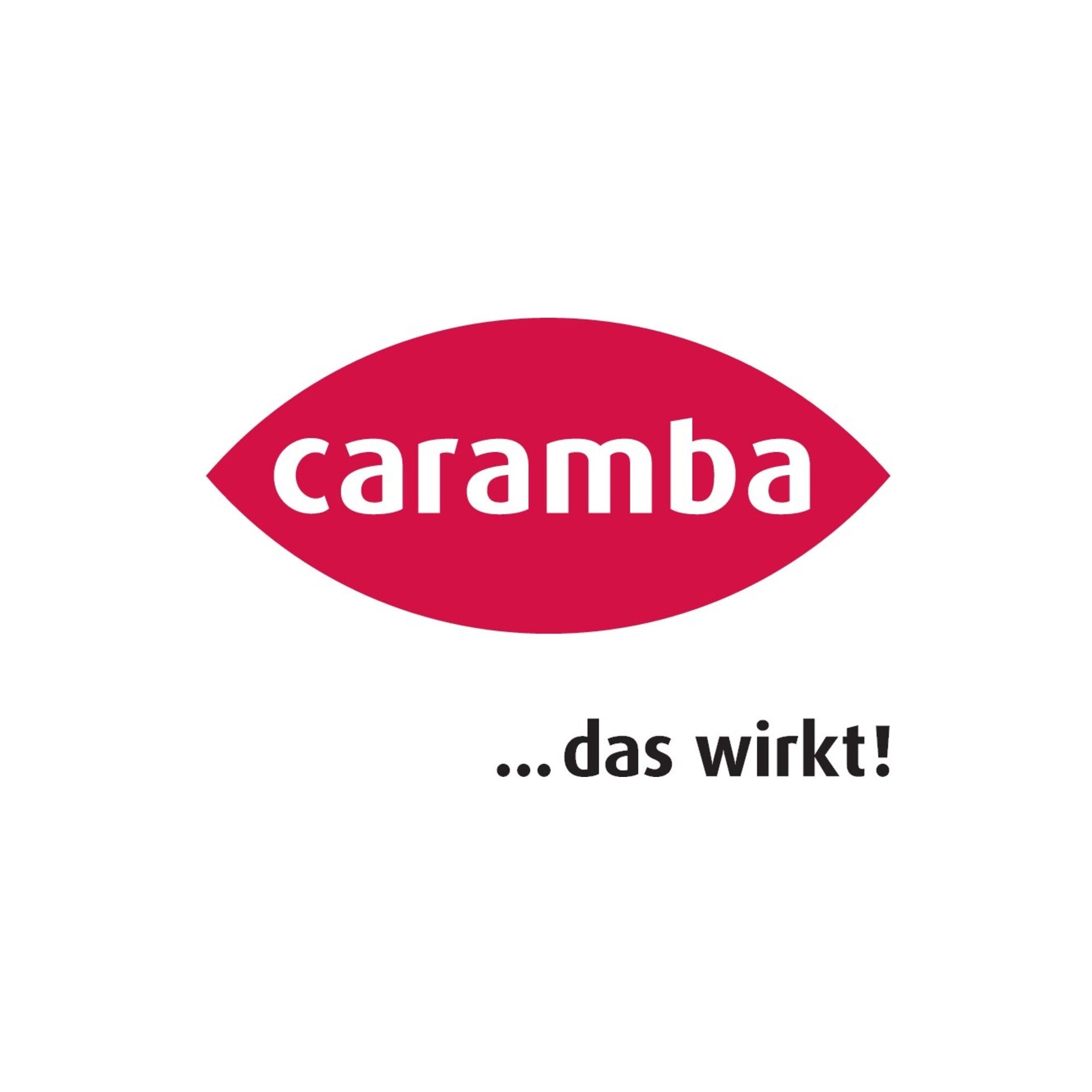 Caramba Bremsenreiniger 400ml 6 Stk