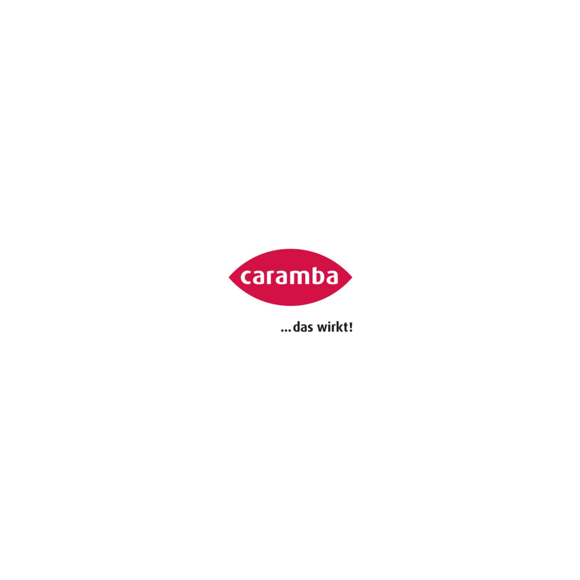 Caramba Hochleistungs-Bohr- und Schneidöl Schaum 500 ml 6 Stk