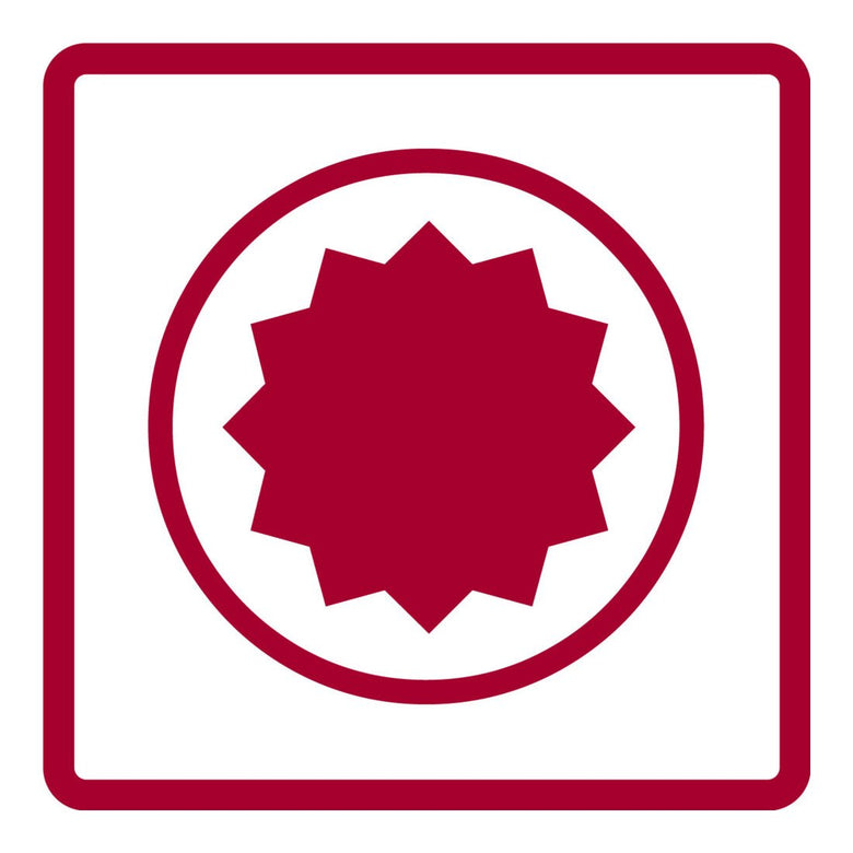 Gedore R62700519 Schraubendraubereinsatz 1/2" XZN M5 Länge 100 mm