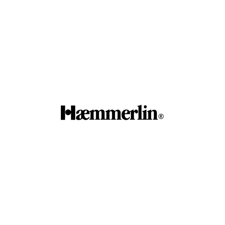 HAEMMERLIN Schubkarre Aktiv Excelli plus 120 Rad + Kugellager