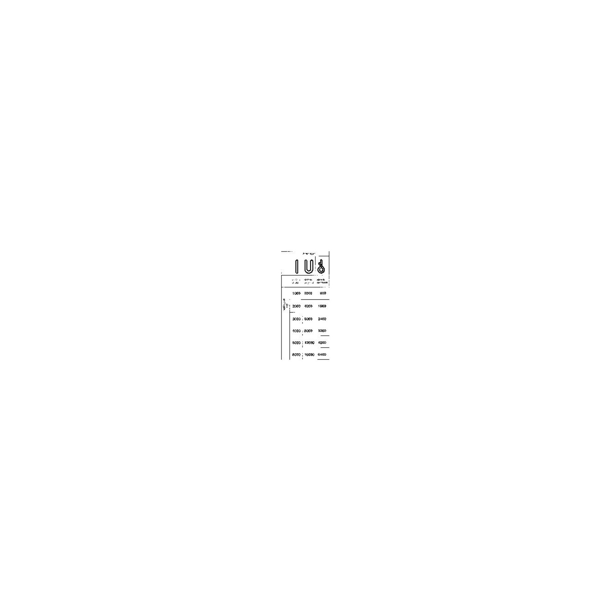 Rundschlinge doppelmantel 1000 kg, U: 2m, N:1,0m
