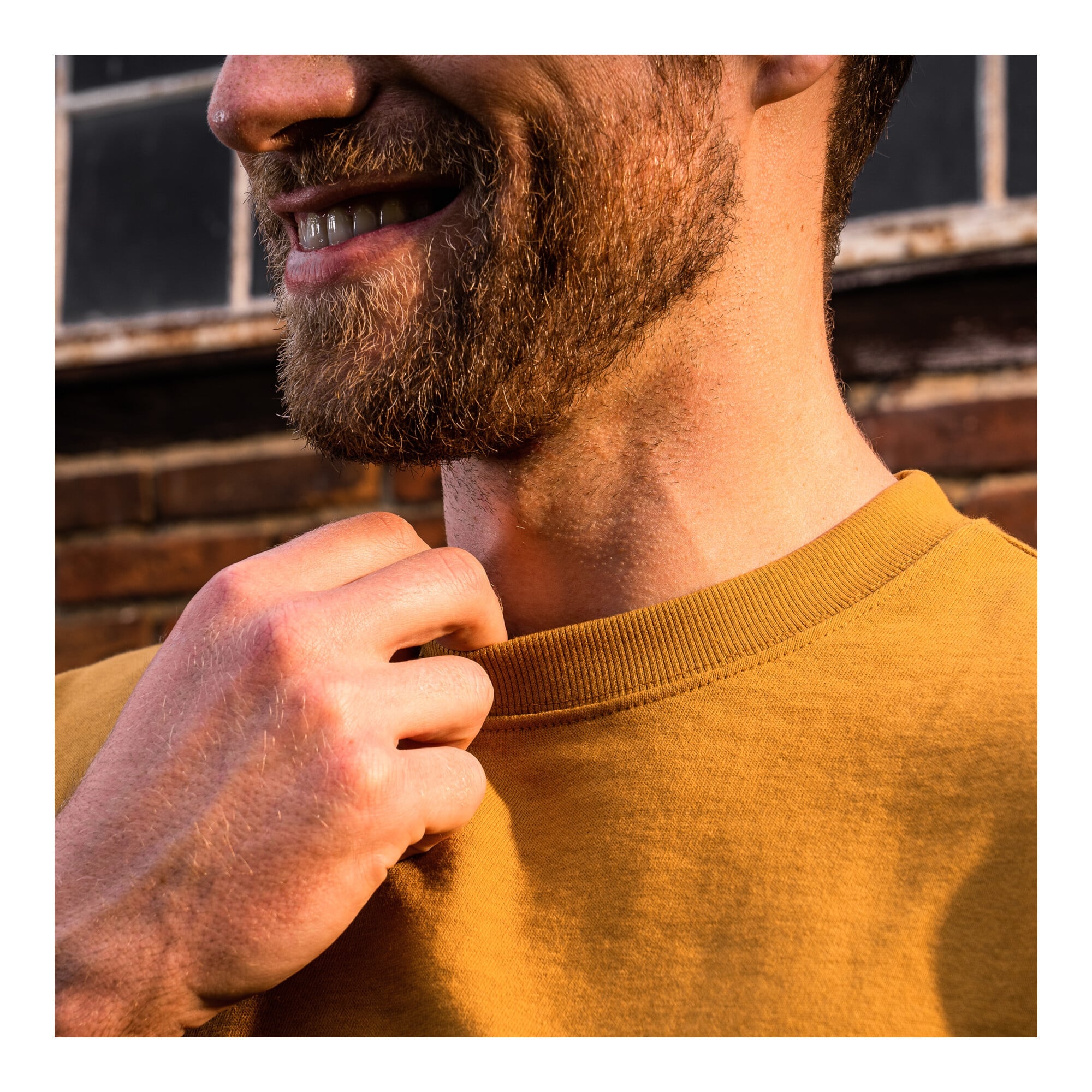 STIER Crew Sweat Style Embro L Golden Brown