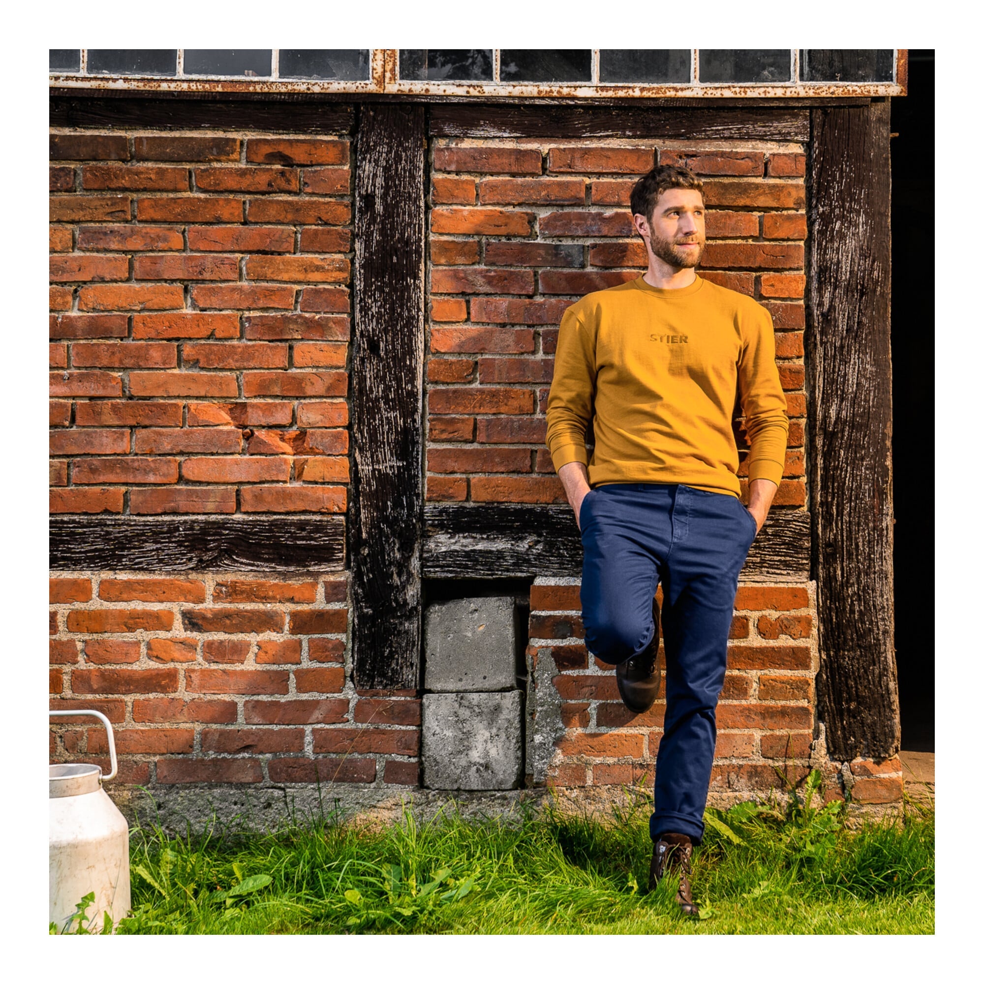 STIER Crew Sweat Style Embro S Golden Brown