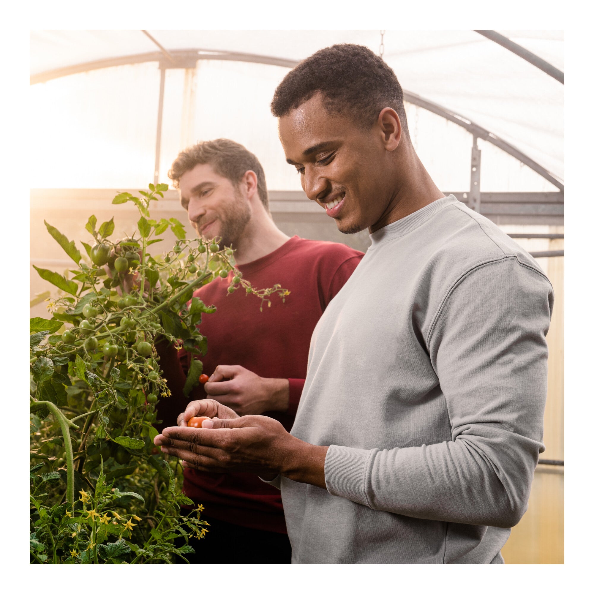 STIER Crew Sweat Style Print S Ice Grey