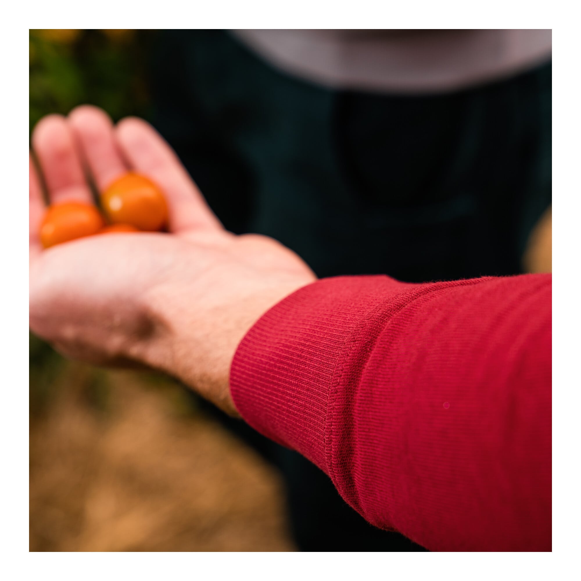 STIER Crew Sweat Style Print XL Deep Red