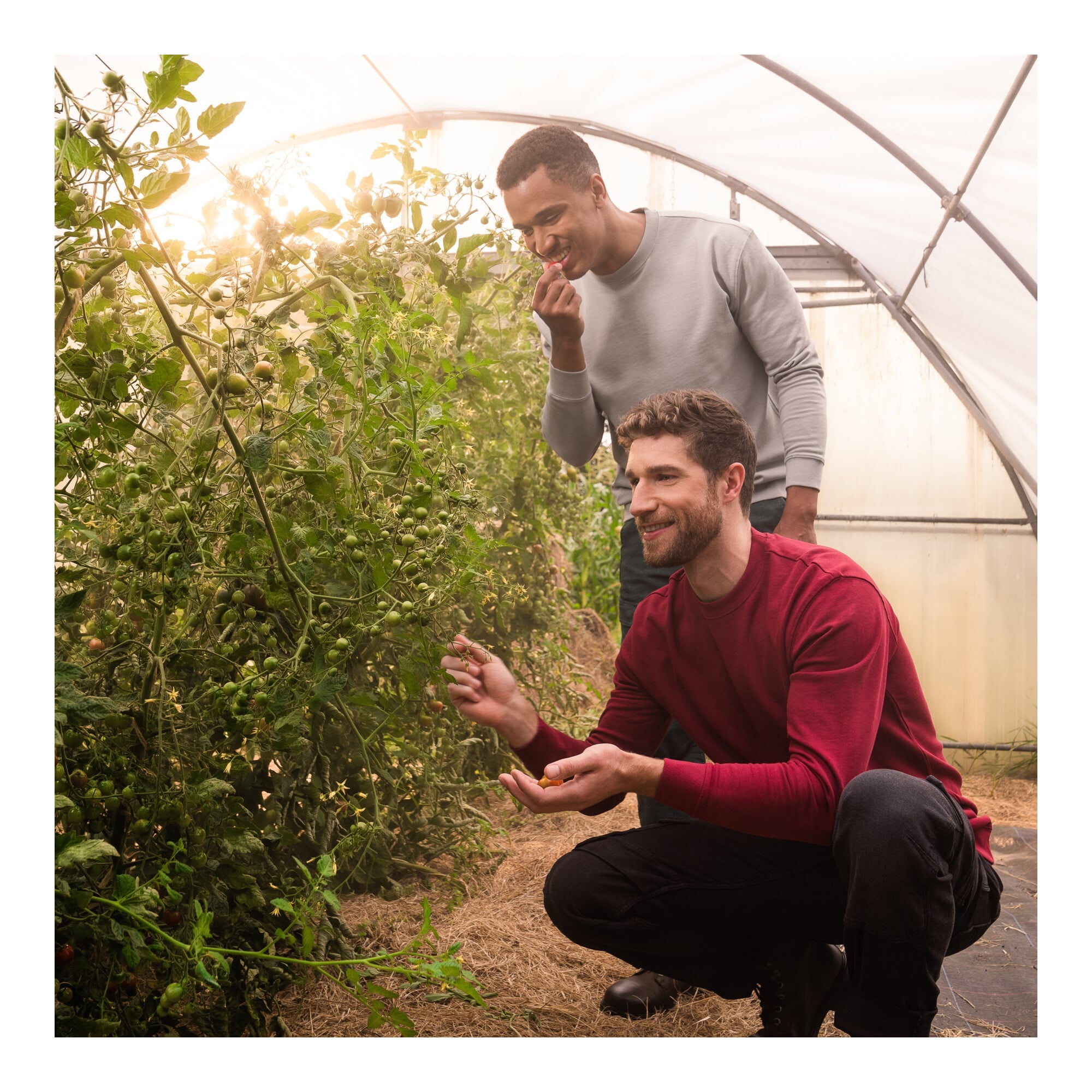 STIER Crew Sweat Style Print XXL Deep Red