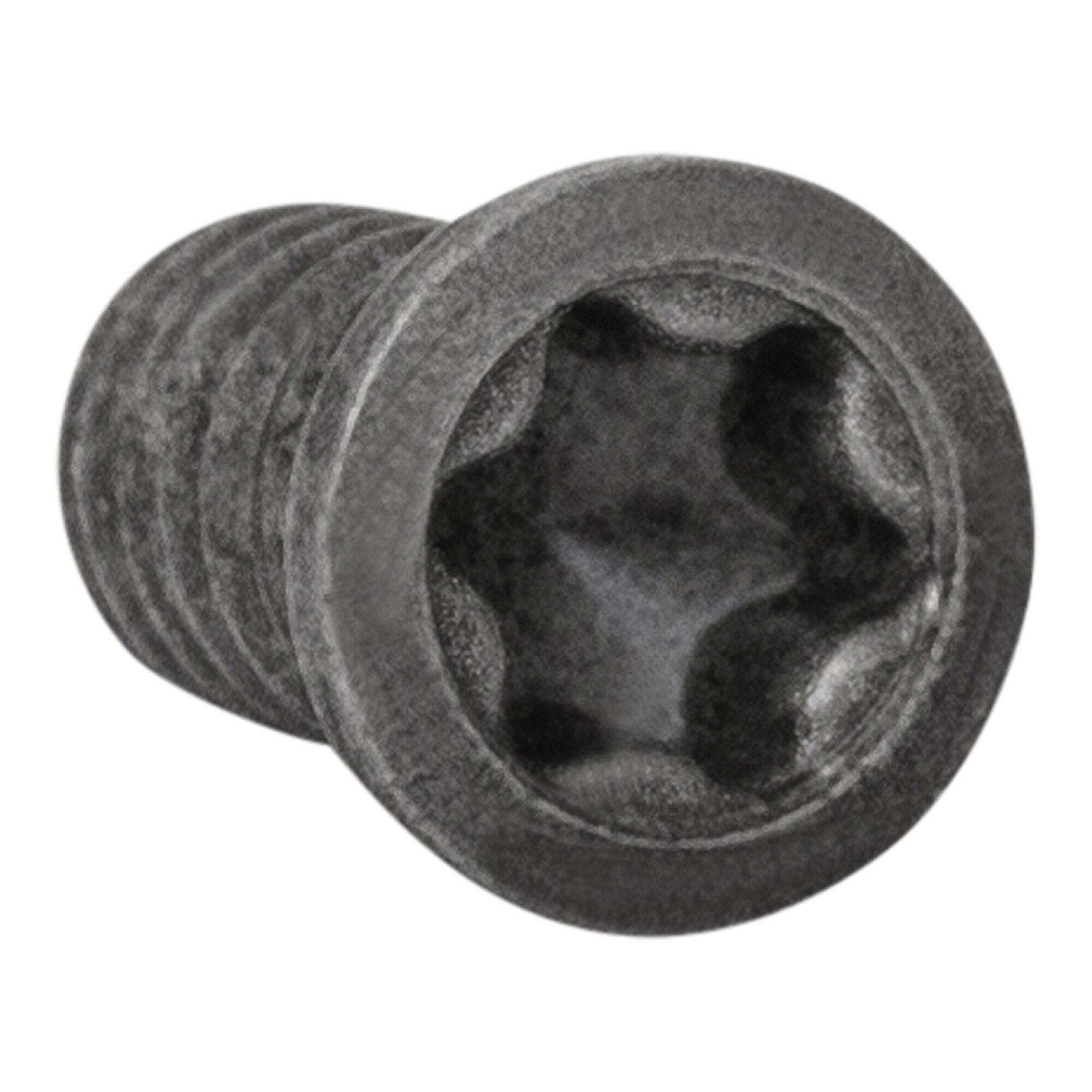 STIER Spannschraube VT25 B (M2,5X5,5 T08) Torx Schraube