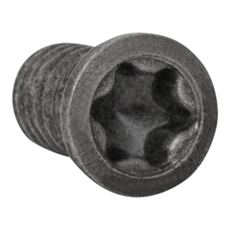 STIER Spannschraube VT25 B (M2,5X5,5 T08) Torx Schraube