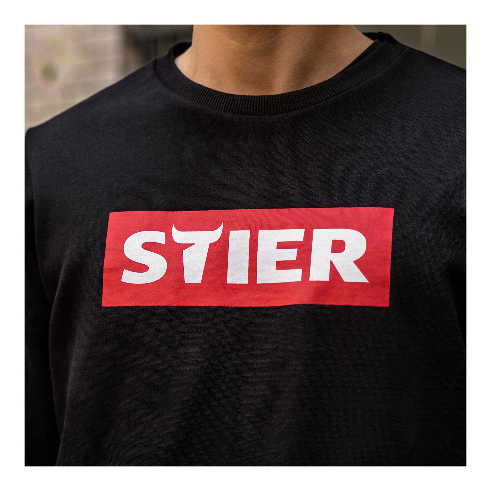 STIER Sweater div. Modelle, Größe S-XXL, unisex, 80% Baumwolle, bequemer Schnitt