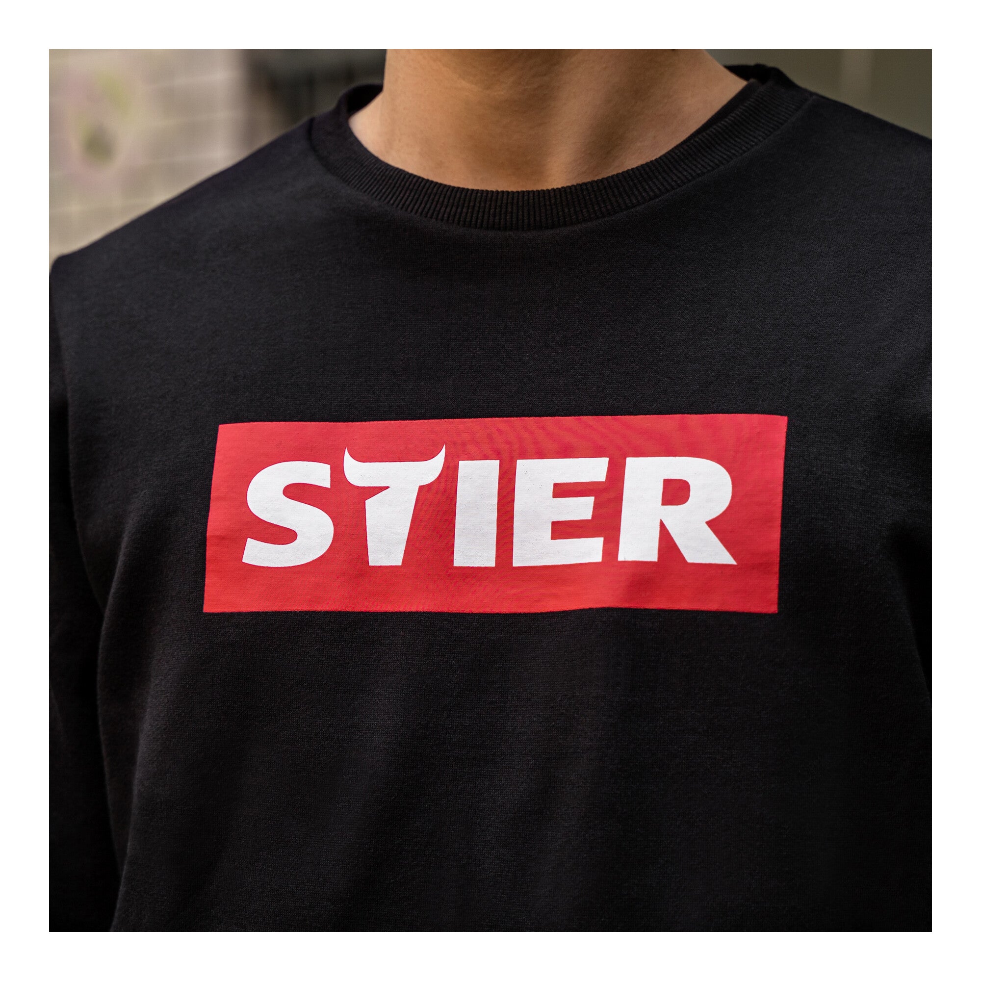 STIER Sweater div. Modelle, Größe S-XXL, unisex, 80% Baumwolle, bequemer Schnitt